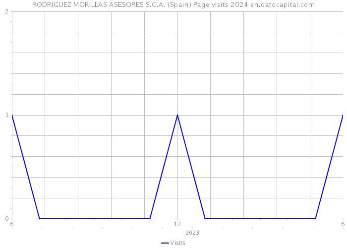 RODRIGUEZ MORILLAS ASESORES S.C.A. (Spain) Page visits 2024 