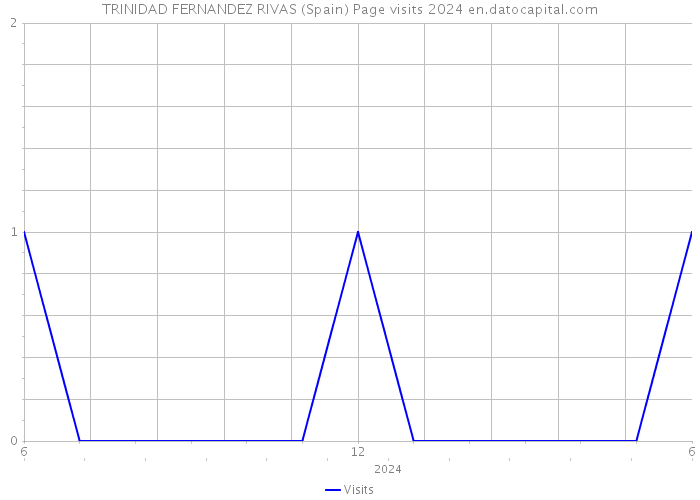 TRINIDAD FERNANDEZ RIVAS (Spain) Page visits 2024 