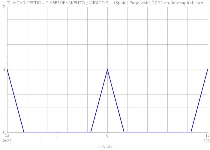 TUVICAR GESTION Y ASESORAMIENTO JURIDICO S.L. (Spain) Page visits 2024 