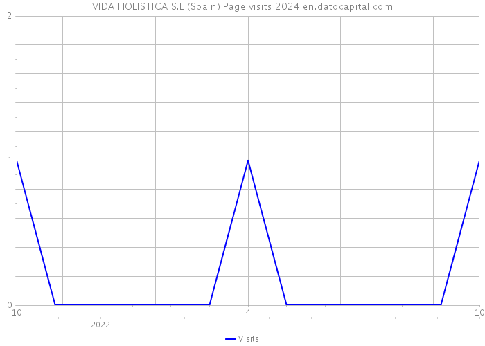 VIDA HOLISTICA S.L (Spain) Page visits 2024 