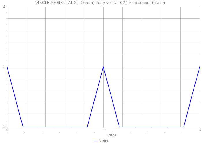 VINCLE AMBIENTAL S.L (Spain) Page visits 2024 