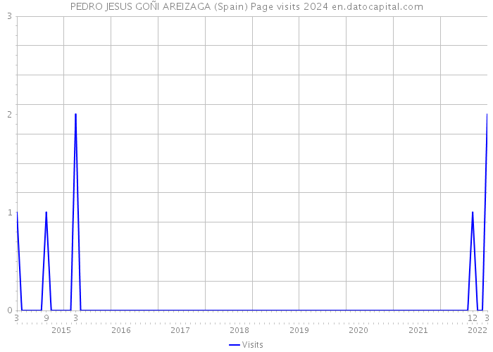 PEDRO JESUS GOÑI AREIZAGA (Spain) Page visits 2024 