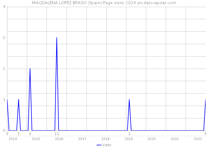 MAGDALENA LOPEZ BRASO (Spain) Page visits 2024 