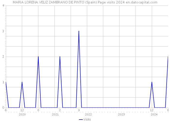 MARIA LORENA VELIZ ZAMBRANO DE PINTO (Spain) Page visits 2024 