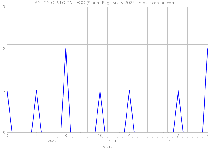 ANTONIO PUIG GALLEGO (Spain) Page visits 2024 