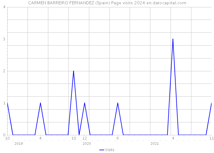 CARMEN BARREIRO FERNANDEZ (Spain) Page visits 2024 
