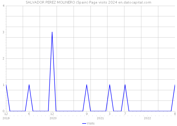 SALVADOR PEREZ MOLINERO (Spain) Page visits 2024 