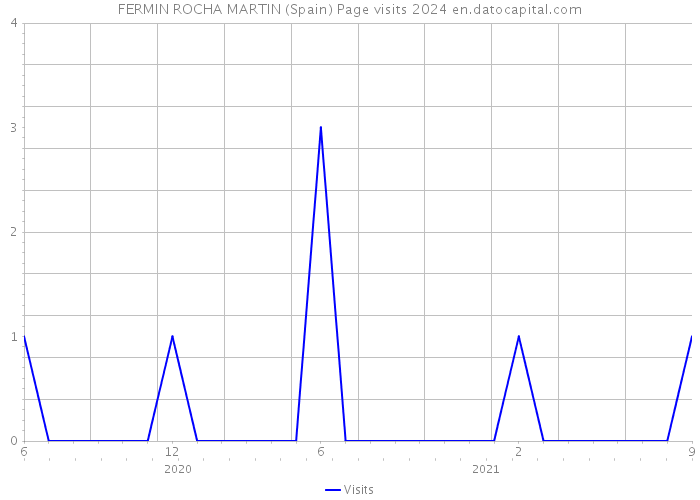 FERMIN ROCHA MARTIN (Spain) Page visits 2024 