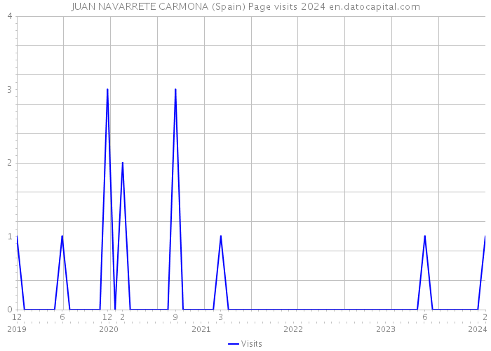JUAN NAVARRETE CARMONA (Spain) Page visits 2024 