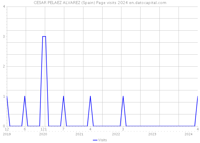 CESAR PELAEZ ALVAREZ (Spain) Page visits 2024 