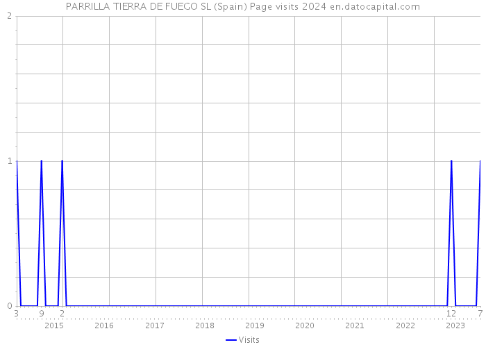 PARRILLA TIERRA DE FUEGO SL (Spain) Page visits 2024 