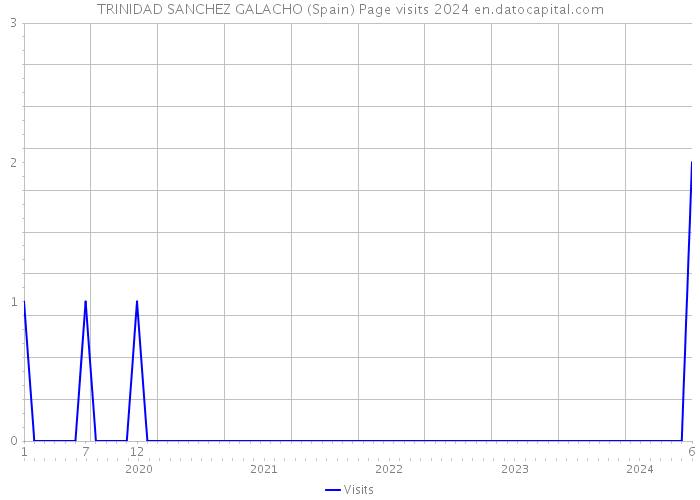 TRINIDAD SANCHEZ GALACHO (Spain) Page visits 2024 