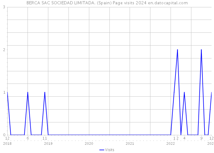 BERCA SAC SOCIEDAD LIMITADA. (Spain) Page visits 2024 