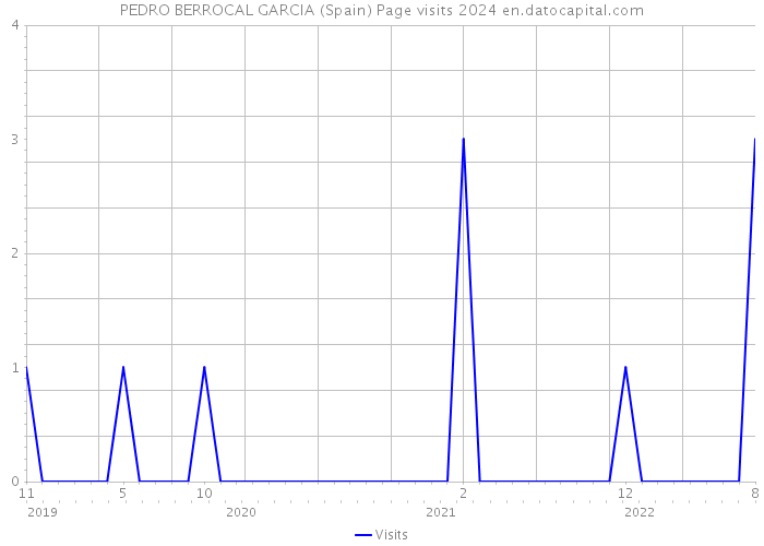 PEDRO BERROCAL GARCIA (Spain) Page visits 2024 