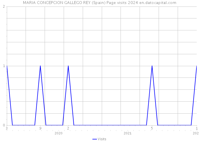 MARIA CONCEPCION GALLEGO REY (Spain) Page visits 2024 