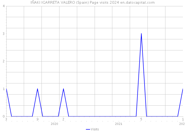 IÑAKI IGARRETA VALERO (Spain) Page visits 2024 