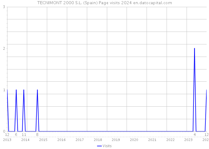 TECNIMONT 2000 S.L. (Spain) Page visits 2024 