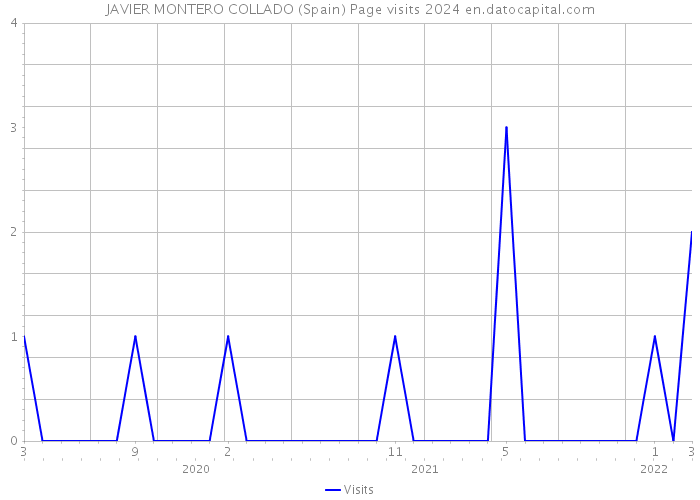 JAVIER MONTERO COLLADO (Spain) Page visits 2024 