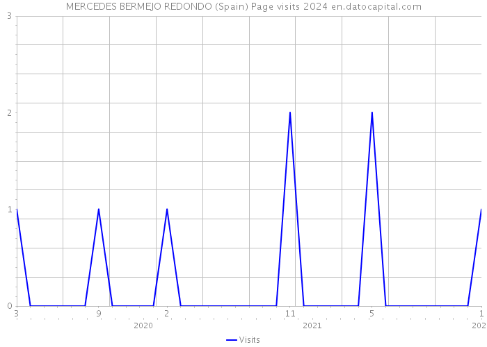 MERCEDES BERMEJO REDONDO (Spain) Page visits 2024 
