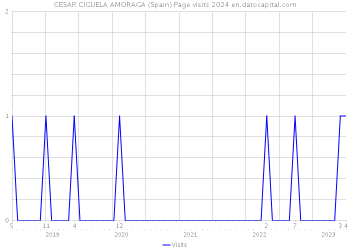 CESAR CIGUELA AMORAGA (Spain) Page visits 2024 
