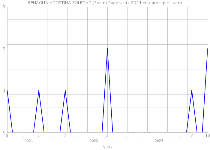 BENAGLIA AGOSTINA SOLEDAD (Spain) Page visits 2024 