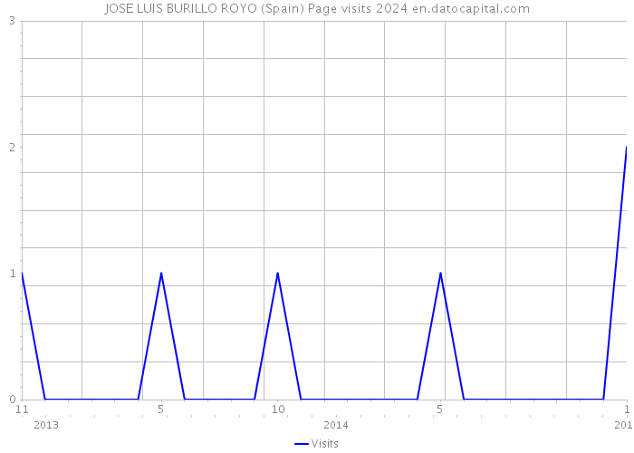 JOSE LUIS BURILLO ROYO (Spain) Page visits 2024 