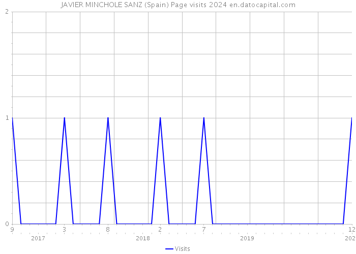 JAVIER MINCHOLE SANZ (Spain) Page visits 2024 