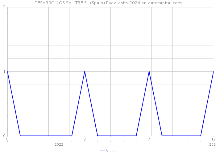 DESARROLLOS SALITRE SL (Spain) Page visits 2024 