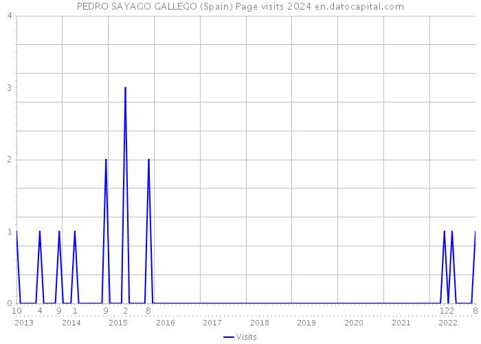 PEDRO SAYAGO GALLEGO (Spain) Page visits 2024 