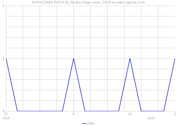 PATAGONIA FISCH SL (Spain) Page visits 2024 