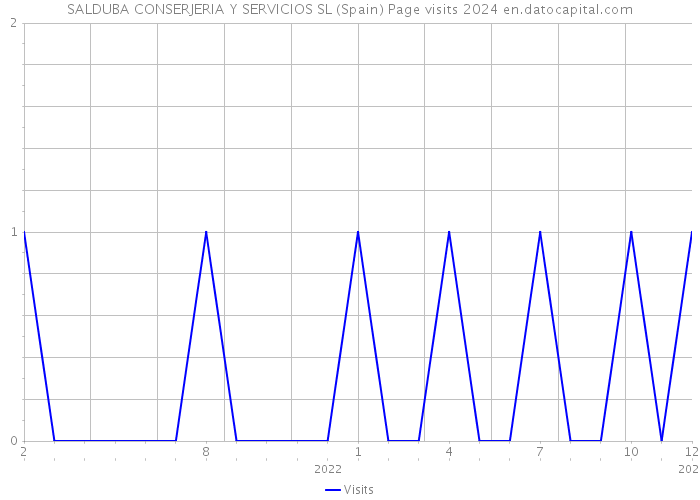 SALDUBA CONSERJERIA Y SERVICIOS SL (Spain) Page visits 2024 