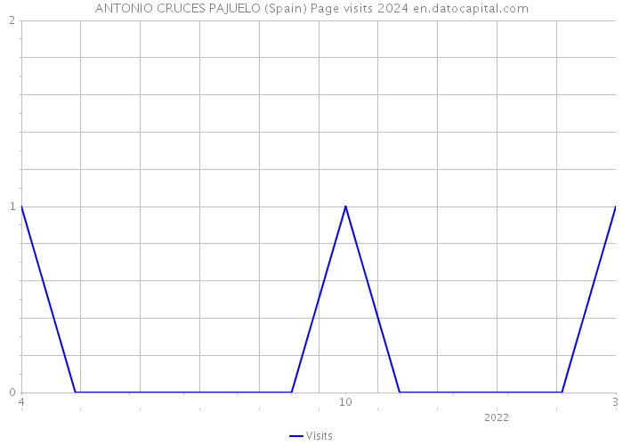 ANTONIO CRUCES PAJUELO (Spain) Page visits 2024 
