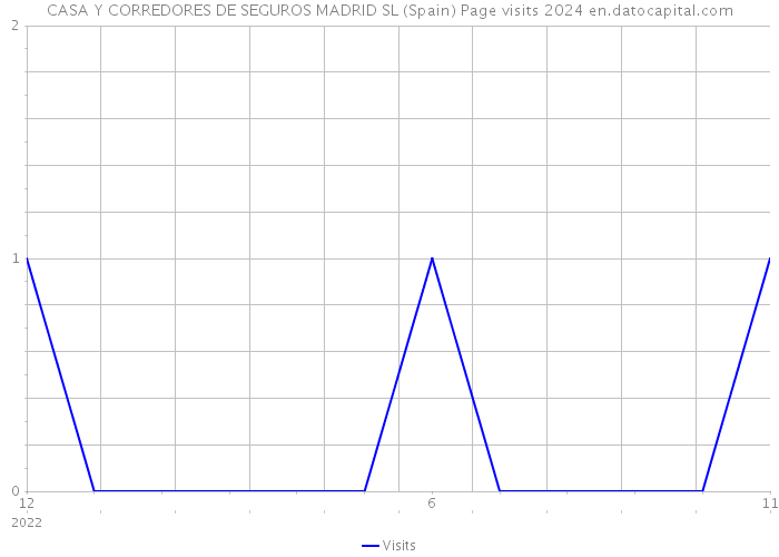 CASA Y CORREDORES DE SEGUROS MADRID SL (Spain) Page visits 2024 