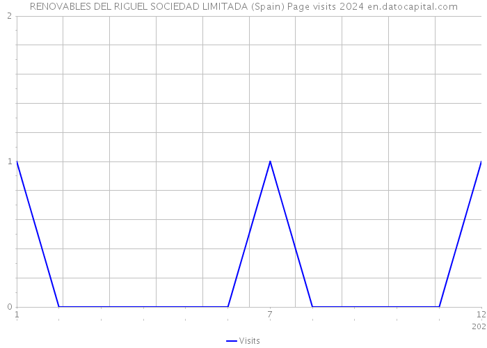 RENOVABLES DEL RIGUEL SOCIEDAD LIMITADA (Spain) Page visits 2024 