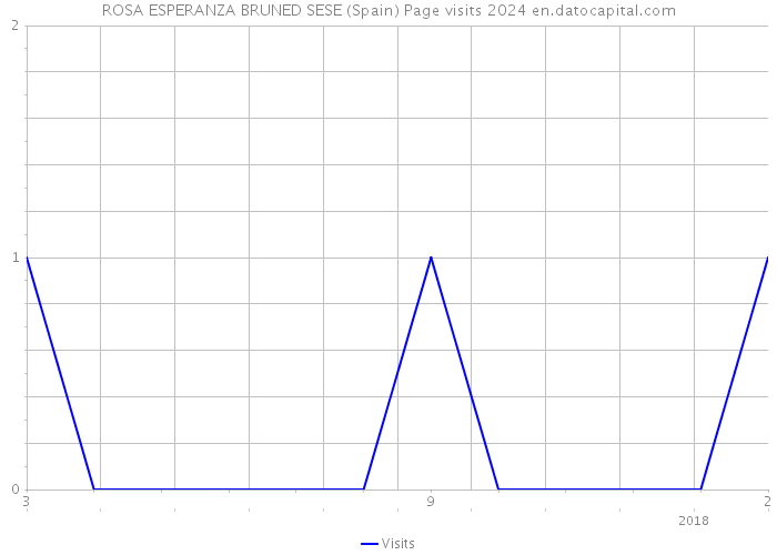 ROSA ESPERANZA BRUNED SESE (Spain) Page visits 2024 