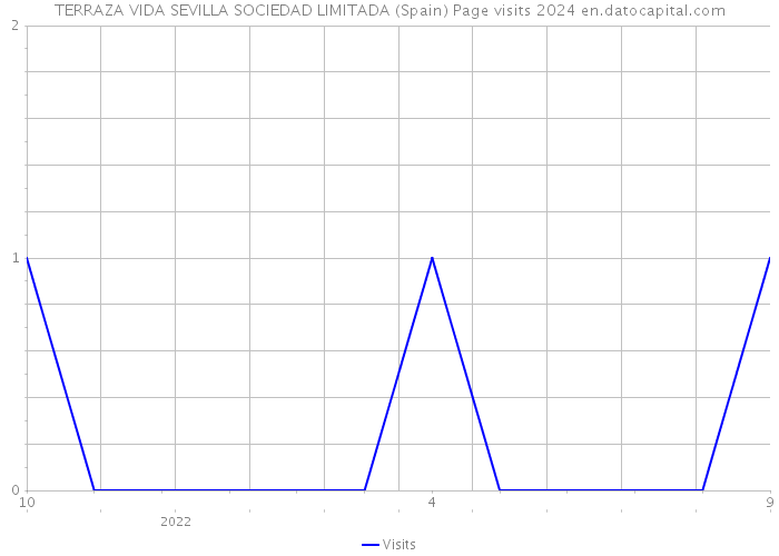 TERRAZA VIDA SEVILLA SOCIEDAD LIMITADA (Spain) Page visits 2024 