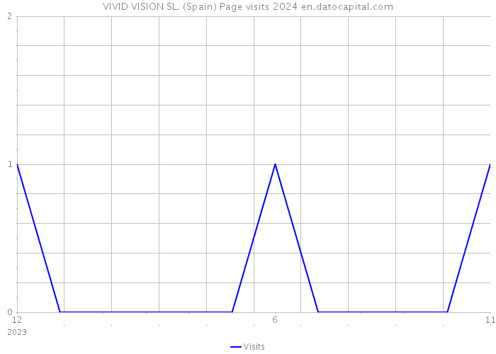 VIVID VISION SL. (Spain) Page visits 2024 
