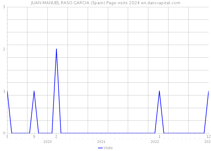 JUAN MANUEL RASO GARCIA (Spain) Page visits 2024 