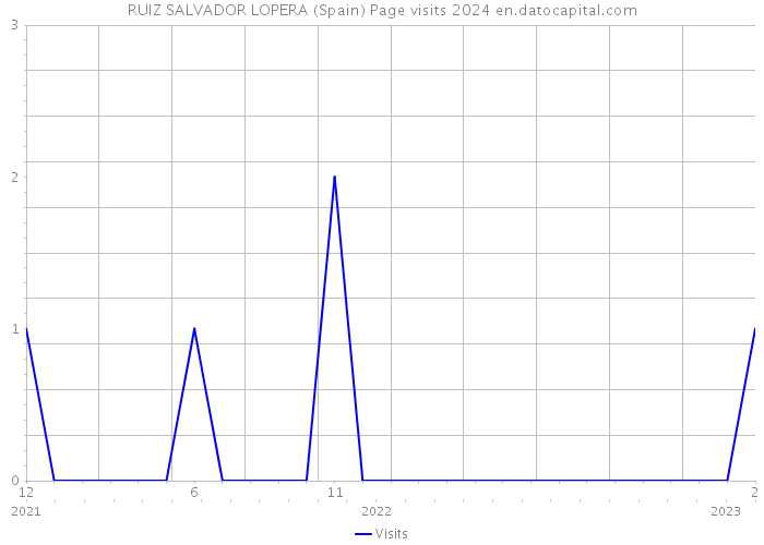 RUIZ SALVADOR LOPERA (Spain) Page visits 2024 