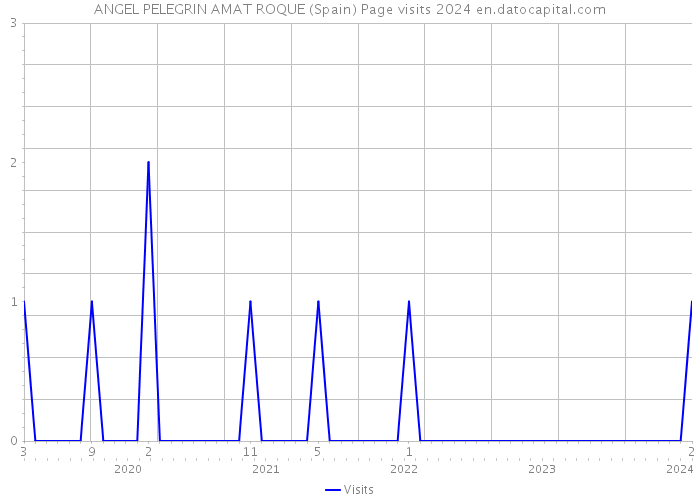 ANGEL PELEGRIN AMAT ROQUE (Spain) Page visits 2024 