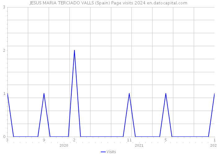 JESUS MARIA TERCIADO VALLS (Spain) Page visits 2024 