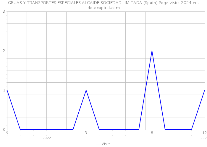 GRUAS Y TRANSPORTES ESPECIALES ALCAIDE SOCIEDAD LIMITADA (Spain) Page visits 2024 