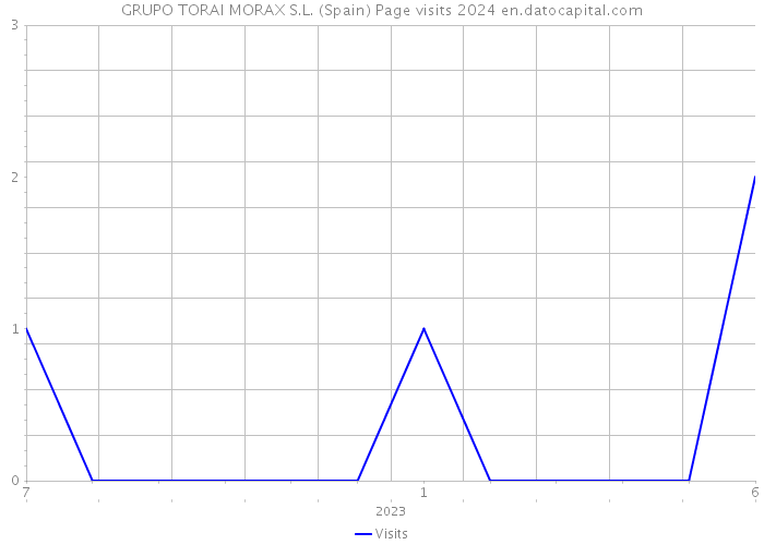 GRUPO TORAI MORAX S.L. (Spain) Page visits 2024 