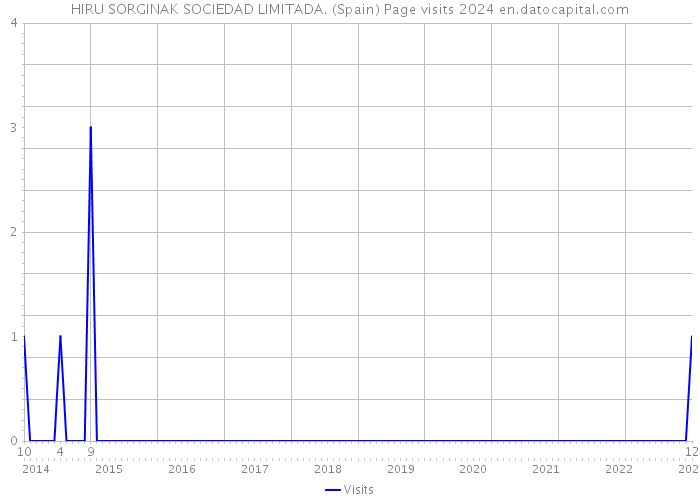 HIRU SORGINAK SOCIEDAD LIMITADA. (Spain) Page visits 2024 