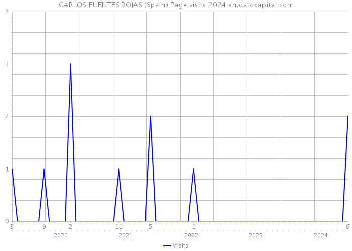 CARLOS FUENTES ROJAS (Spain) Page visits 2024 