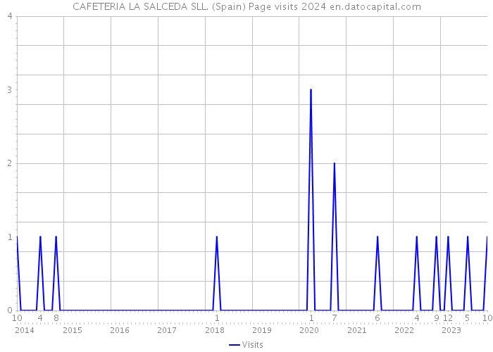 CAFETERIA LA SALCEDA SLL. (Spain) Page visits 2024 