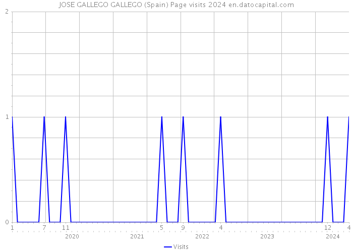 JOSE GALLEGO GALLEGO (Spain) Page visits 2024 