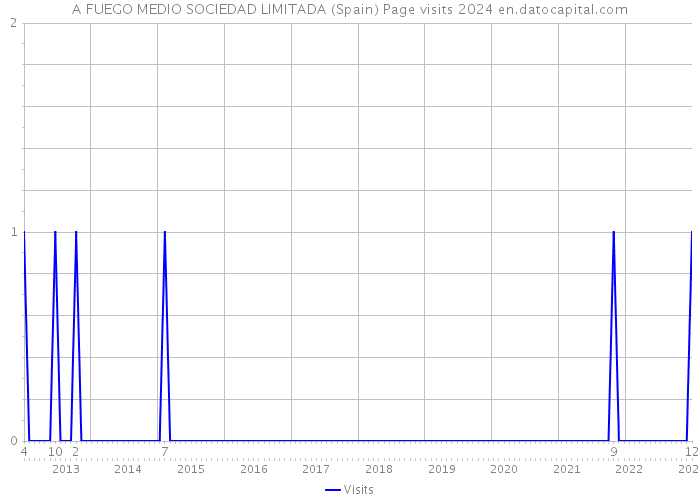 A FUEGO MEDIO SOCIEDAD LIMITADA (Spain) Page visits 2024 