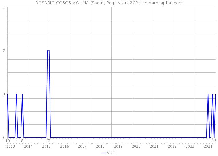 ROSARIO COBOS MOLINA (Spain) Page visits 2024 