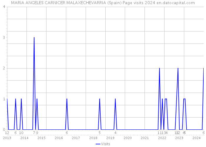 MARIA ANGELES CARNICER MALAXECHEVARRIA (Spain) Page visits 2024 